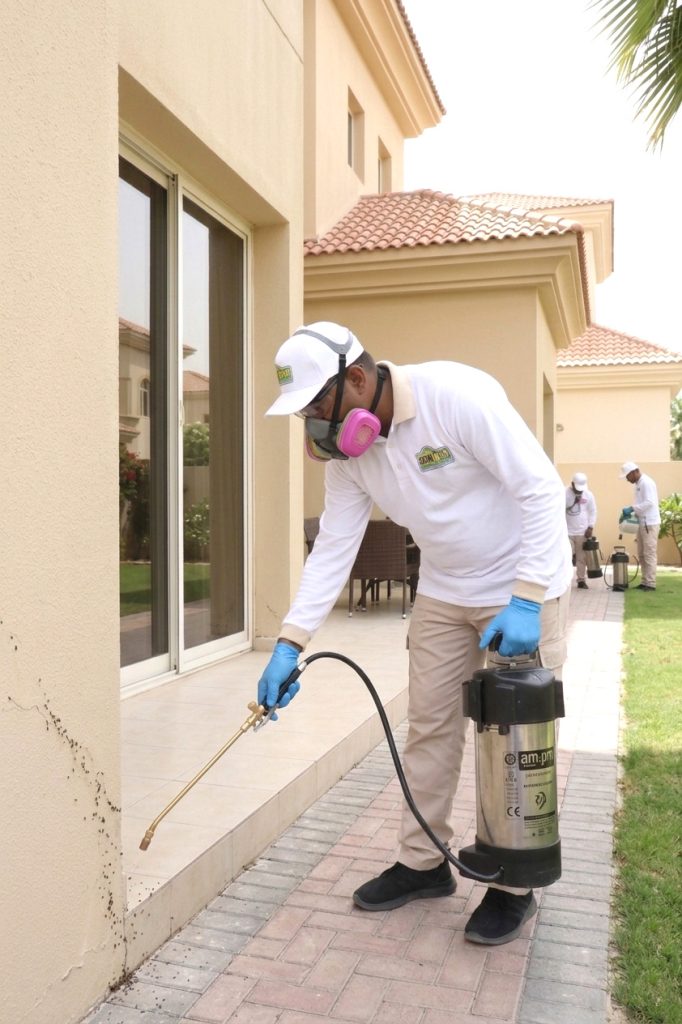 Ant Treatment in the villa